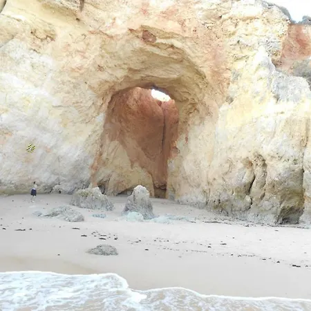 Lejlighed O Presidente